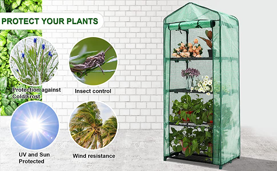 Multi-Tier Mini Greenhouse (11)
