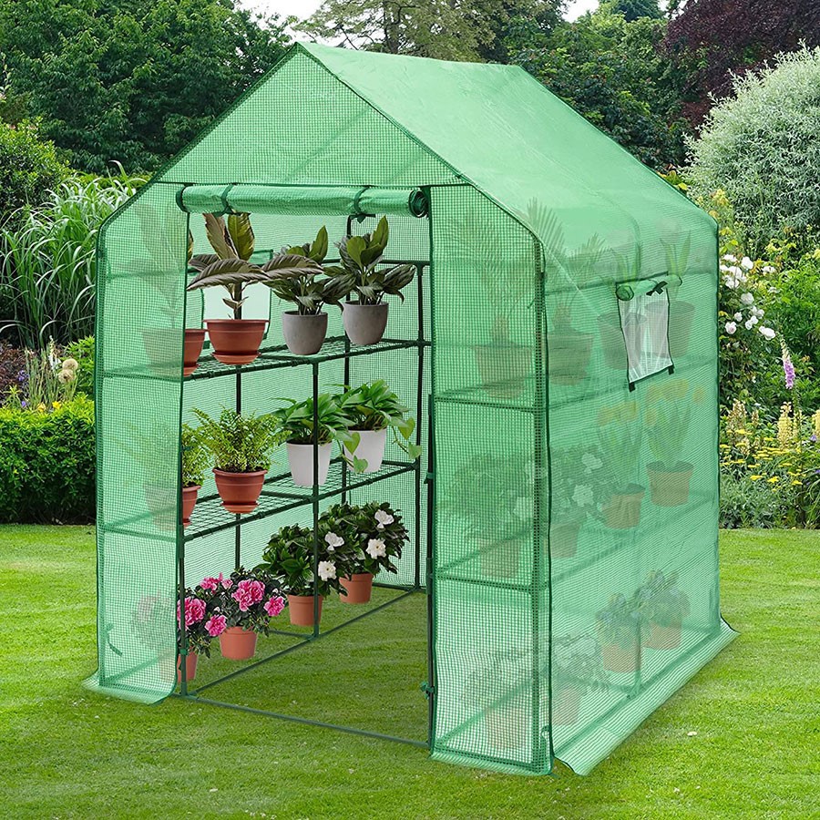 57x57x76 PE Walk-In Greenhouse (1)