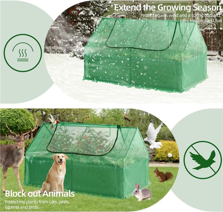 Raised Garden Bed With Mini Greenhouse Cover